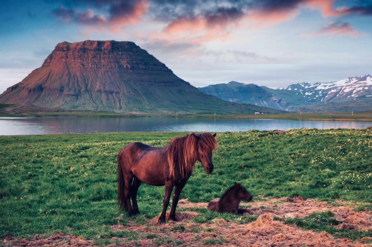Experience Beautiful Iceland Ólafsvík Eksteriør bilde