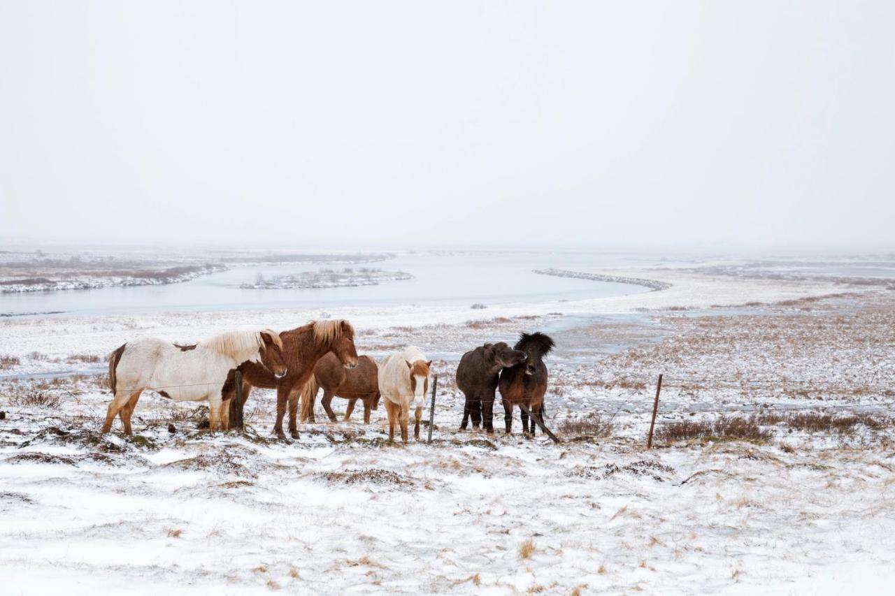 Experience Beautiful Iceland Ólafsvík Eksteriør bilde