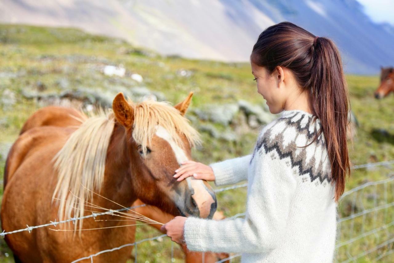 Experience Beautiful Iceland Ólafsvík Eksteriør bilde